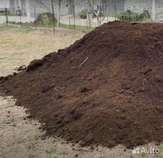 Навоз Иркутский