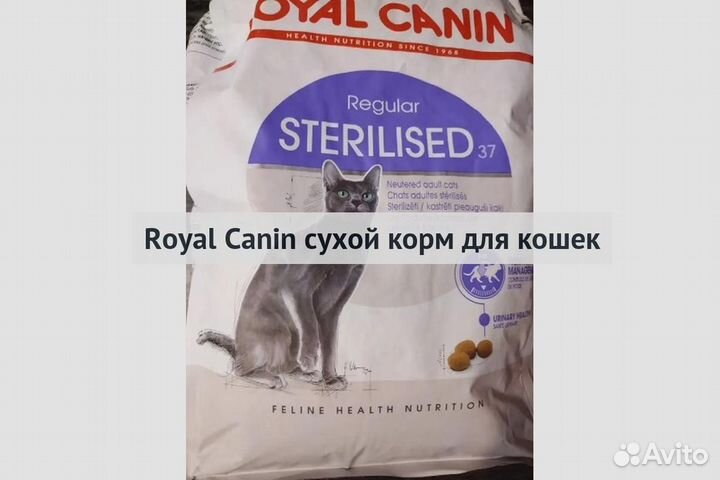 Kорм для кошек royal canin Royal Canin сухой корм