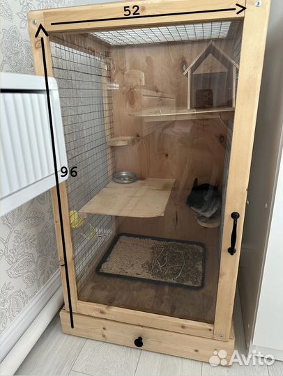 Витрина с шиншиллой