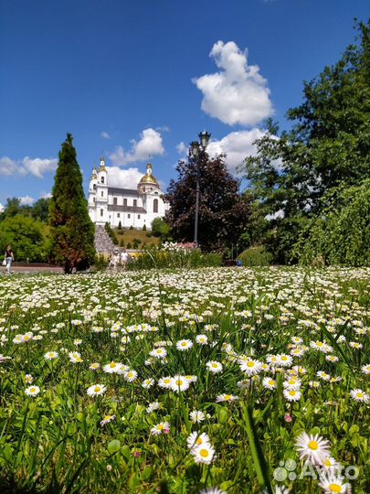 Витебск Топ-Экскурсия Обзорная прогулка «Витебские