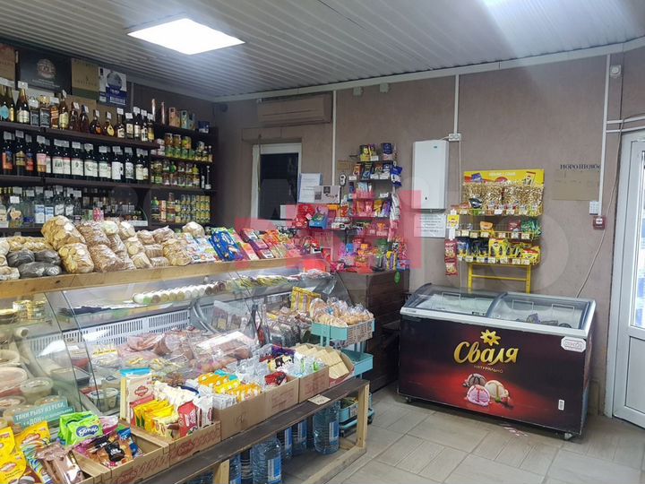 Действующий продуктовый магазин 55 кв.м