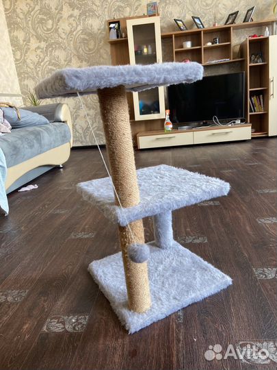 Когтеточка