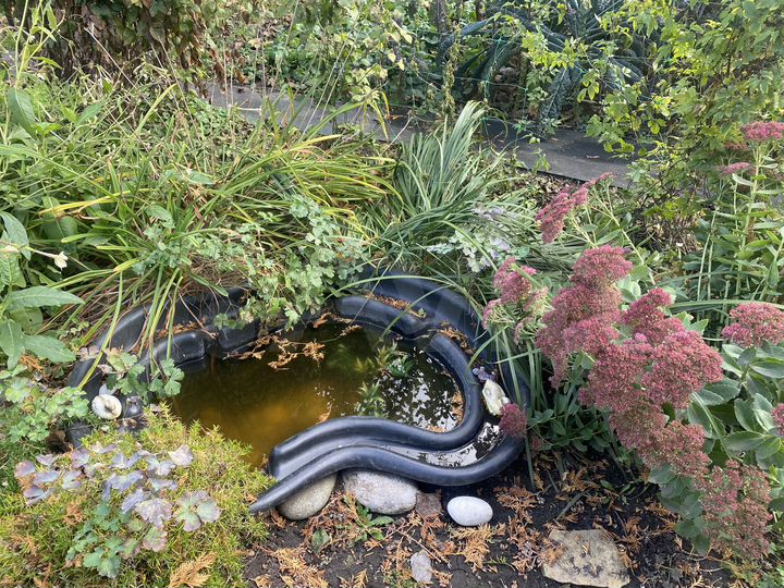 Дом 97,2 м² на участке 10 сот.