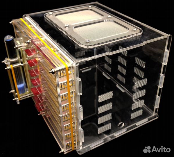 Настоящие муравьиные фермы с муравьями, Доставка