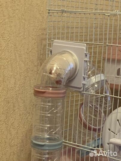 Клетка для грызунов