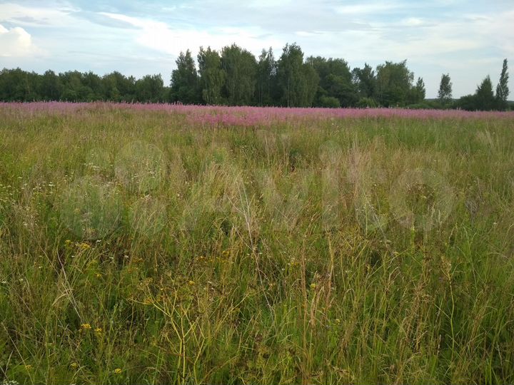 Участок 9,6 га (СНТ, ДНП)