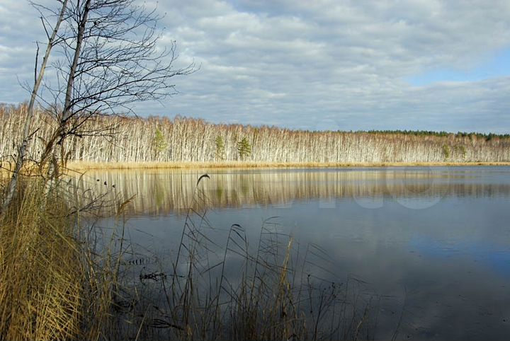 Участок 100 сот. (СНТ, ДНП)