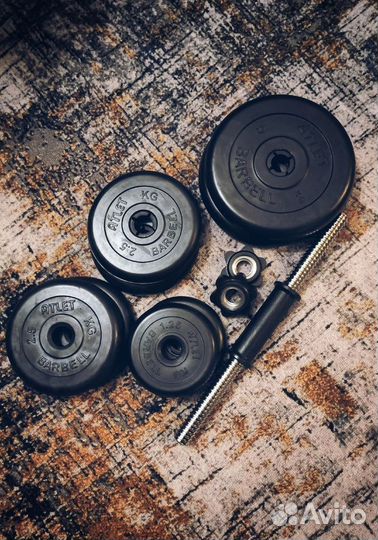 Гантели разборные, Диски (блины)