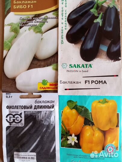 Рассада томатов, перцев и баклажан