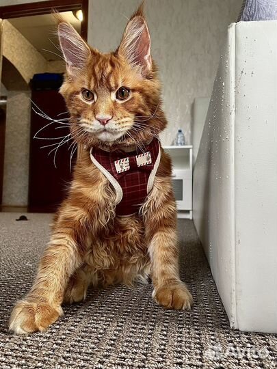 Мейкун вязка