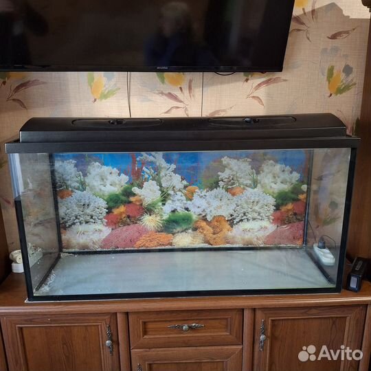 Аквариум