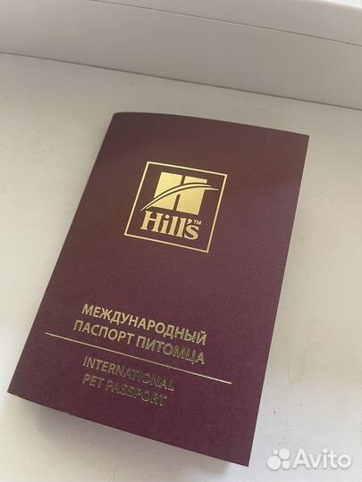 Паспорт для питомца
