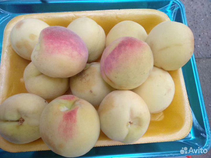 Саженцы Персика и вишня Морель