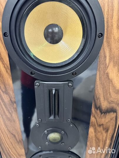 Акустические колонки Legacy Audio Focus 20/20