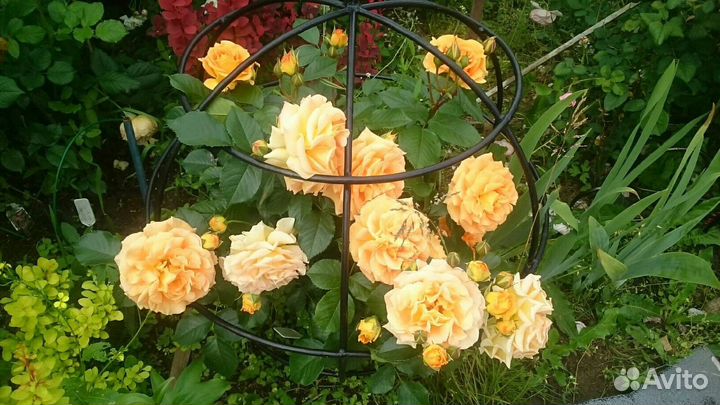 Опора под растения 