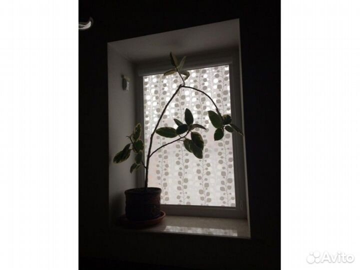 Кассетные шторы Q80576-Ц87520