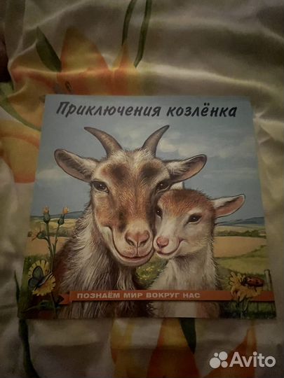 Познаем мир вокруг нас