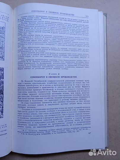 Овощеводство Эдельштейн