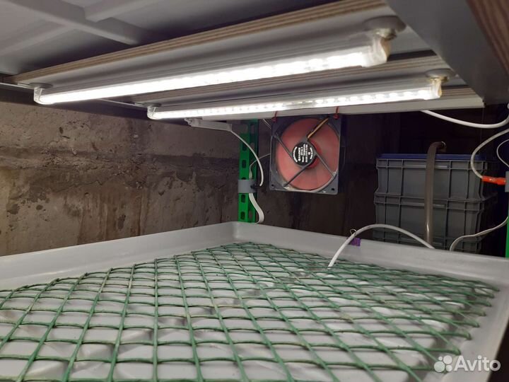 Установка для выращивания микрозелени