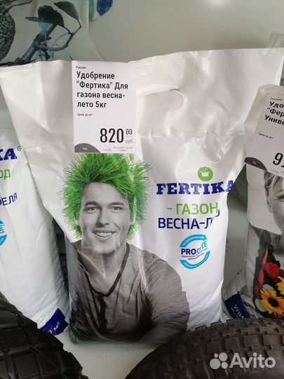 Газонная трава