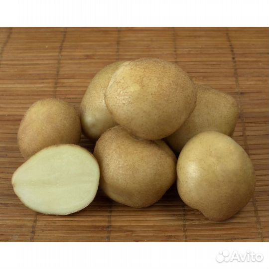 Картофель семенной