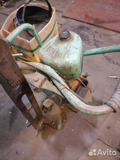 Пила дружба