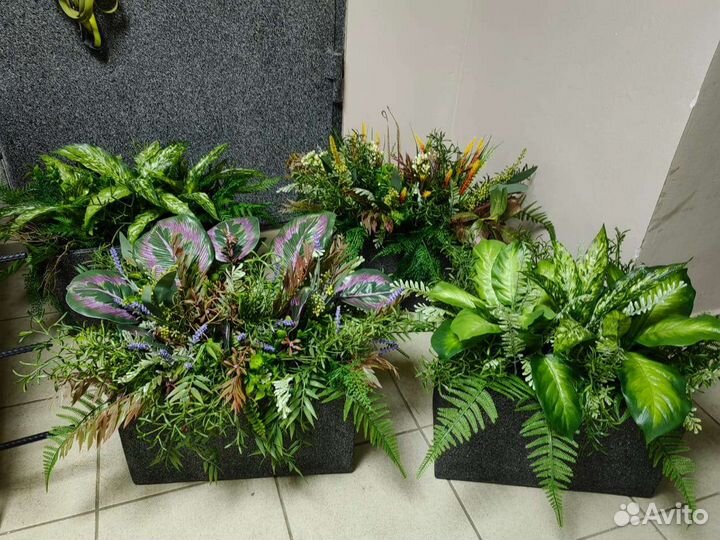 Трава, растения, деревья, цветы в кашпо. декор, от