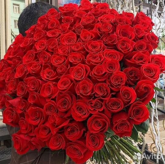 Высокие Розы Гиганты Доставка Круглосуточно