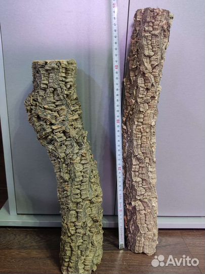 Кора пробкового дуба