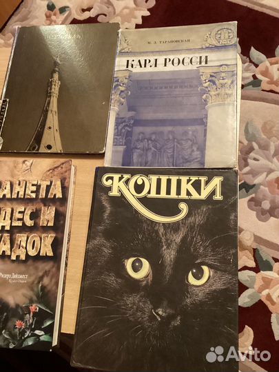 Книги-альбомы