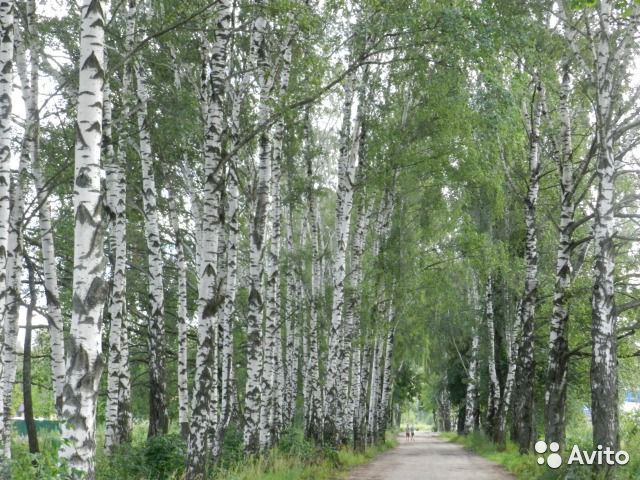 Участок 12 сот. (ИЖС)