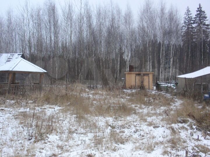 Участок 12 сот. (СНТ, ДНП)