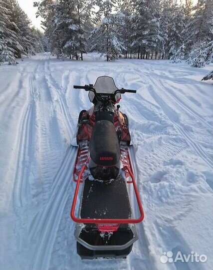 Снегоход irbis SF200L NEW 23/24 RED