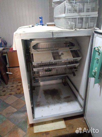 Инкубатор илб 05