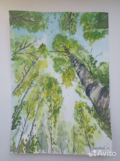Картина акварелью Берёзовая роща
