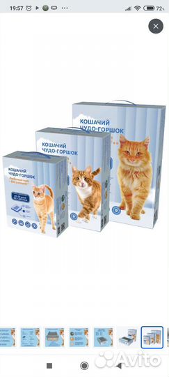 Кошачий чудо-горшок