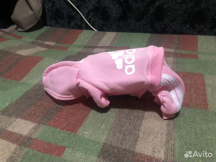 Одежда для собак