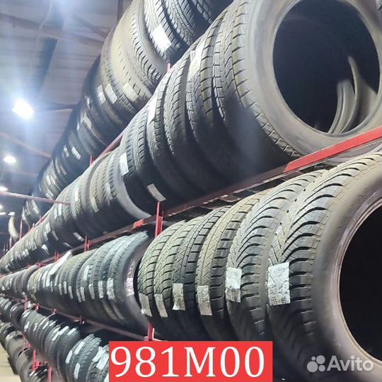 Tigar Winter 195/65 R15 95L