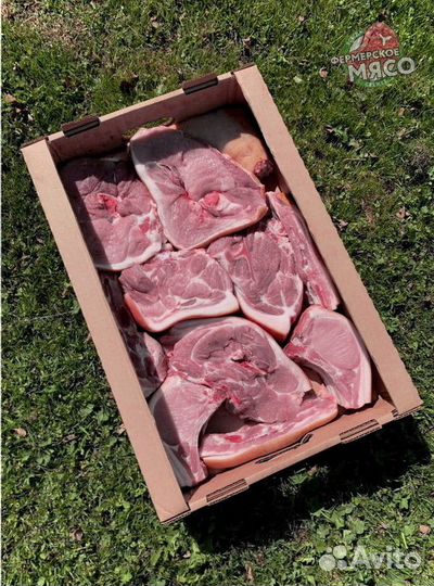 Мясо свинина