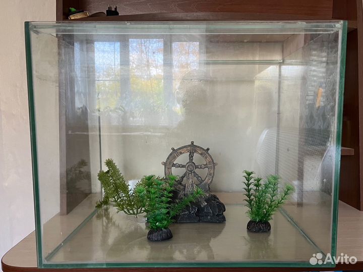 Аквариум