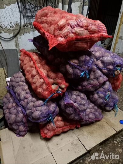 Продаю картошку