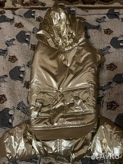 Комбинезон для собаки