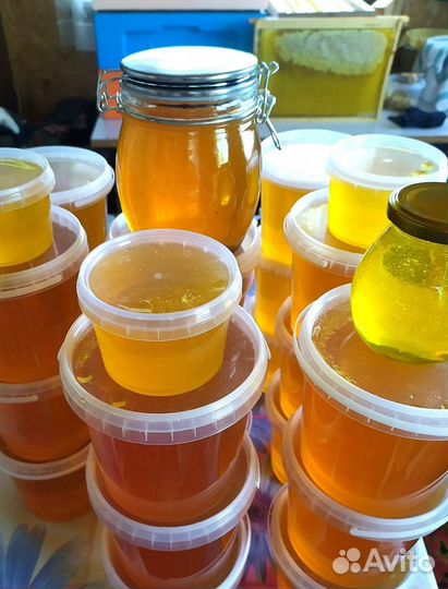 Мед в сотах с небольшой семейной пасеки