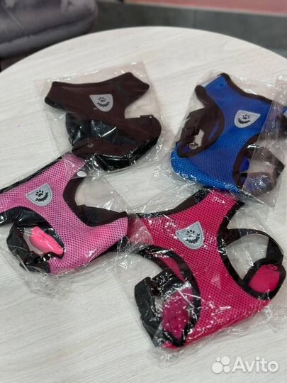 Товары для животных