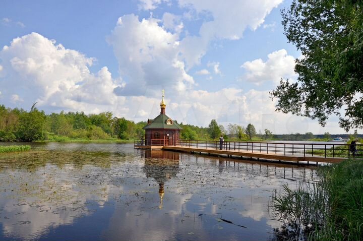 Участок 30 сот. (СНТ, ДНП)