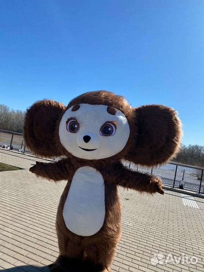 Поздравление Ушастика ростовая кукла