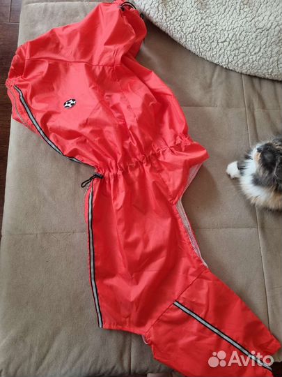 Дождевик для крупной собаки