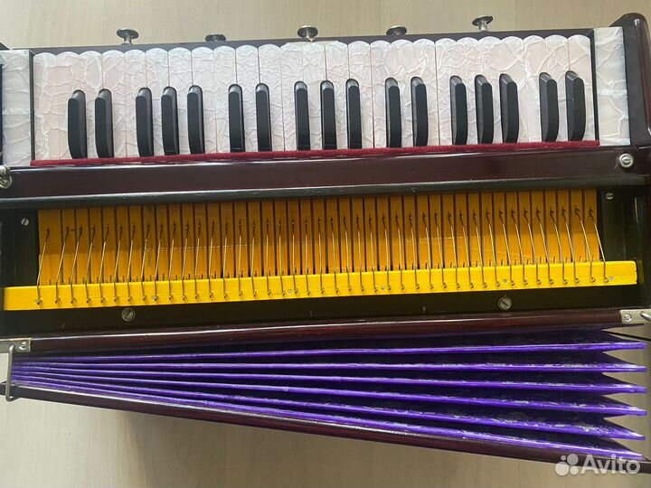 Фисгармония новая