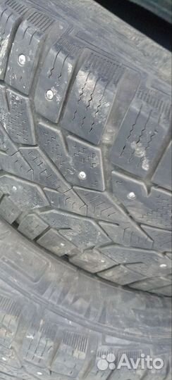 Gislaved Nord Frost V 175/70 R14