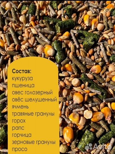 Корм для морских свинок 3,3 кг